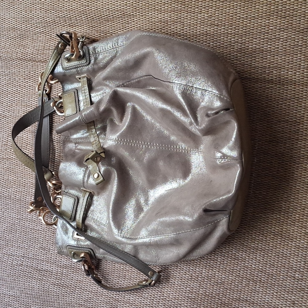Coach Taupe Leather Crossbody Handbag